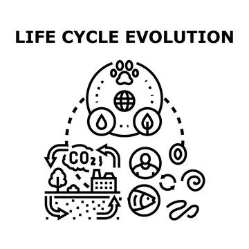 Life cycle evolution process creating ecosystem balance Stock Illustration