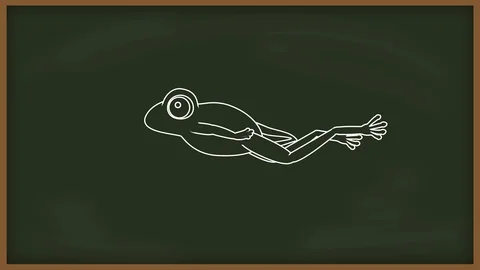 The life cycle of a frog on school board Stock Footage 110524617
