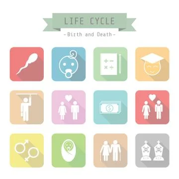 Life cycle 스톡 일러스트
