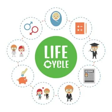 Life cycle Stock Illustration