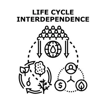 Life cycle interdependence diagram connecting human, nature, and economy Stock Illustration