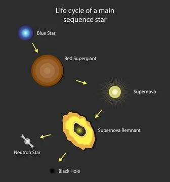 Life cycle of a main sequence star, stellar astronomy and planetary systems Stock Illustration