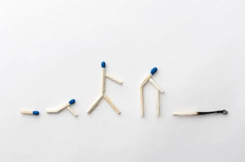 Life cycle Foto stock