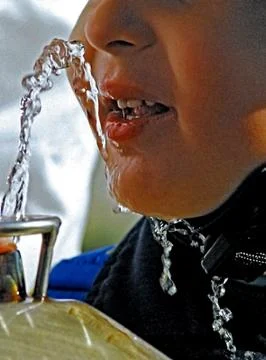 Life elements Stock Photos