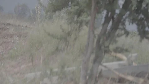 Life in the Fields Stock Footage 301366046