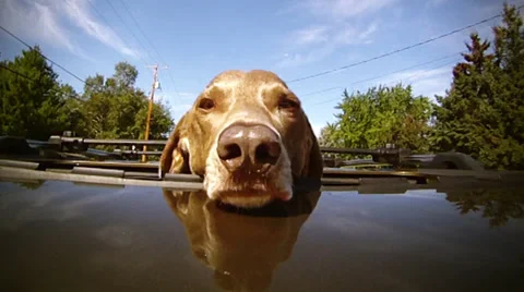 Life is Good! Stock Footage 36769772