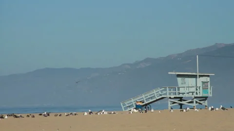 Life Guard Tower Stock Footage 46831578