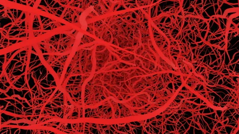 Life happens inside a nerve cell. Stock Footage 121286471