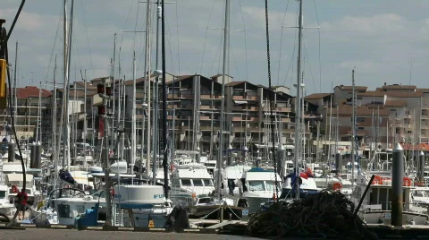 Life in harbor Stock Footage 495510