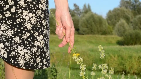 Life in harmony with nature. Stock Footage 281577348