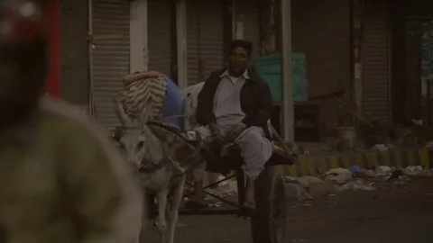 Life in India Stock Footage 111705478