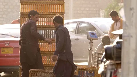 Life in India Stock Footage 111706243