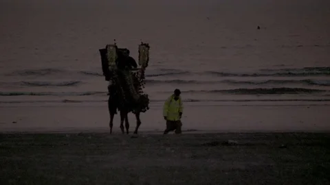 Life in India Stock Footage 111706403