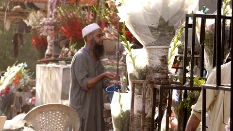 Life in India Stock Footage 111706535