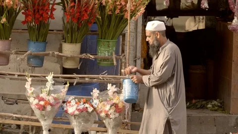 Life in India Stock Footage 111706541