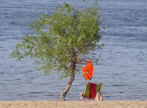 A life jacket hangs from a tree on the river Bank on a Sunny summer day next Stock Photos