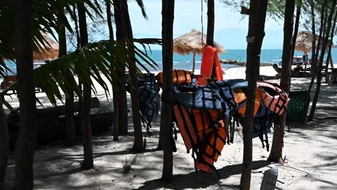 Life Jackets Hanging on Trees at Tropical Beach Resort 4K Stock Footage 340495668