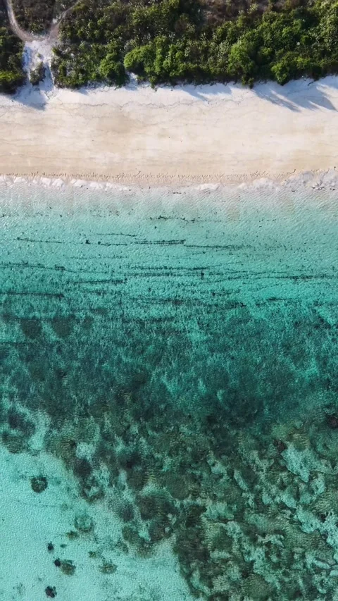 Life lately, somewhere in indonesia Stock Footage 344576100