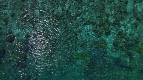 Life lately, somewhere in indonesia Stock Footage 344576724