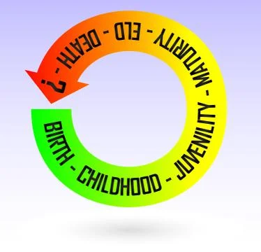 Life Loop. Vector Concept Image. EPS 10. Stock Illustration