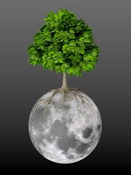 Life on moon Stock Illustration