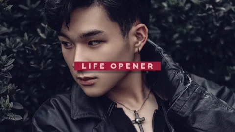 Life Opener Modèle After Effects