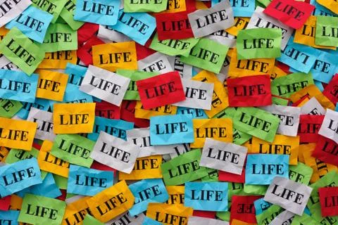 Life Stock Photos