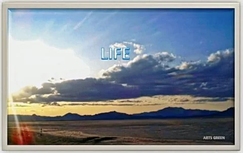 Life Stock Photos