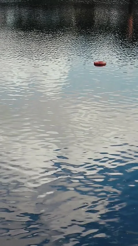 A life preserver floating on the river - Vertical video Video stock 200401163