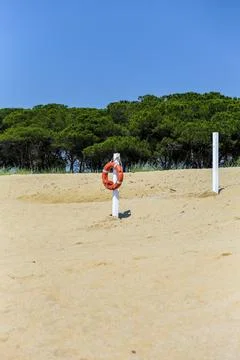 A life preserver is on the sand in front of a tree Stock Photos