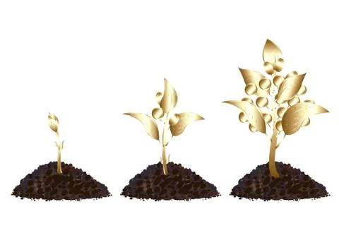 Life process of golden tree Stock Illustration