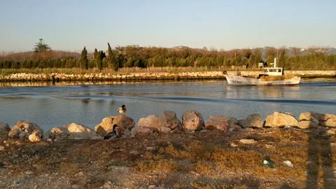 Life by the river 库存影片 131151064