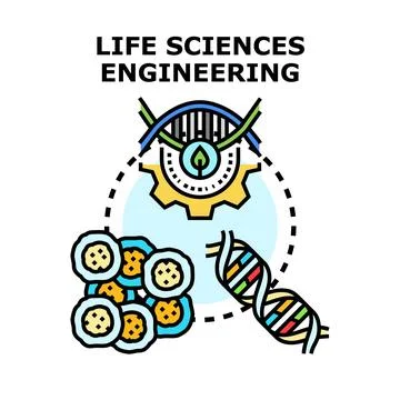 Life sciences engineering concept combining biology and technology Stock Illustration