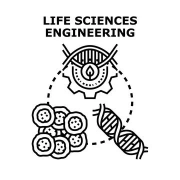 Life sciences engineering concept combining biology and technology Stock Illustration