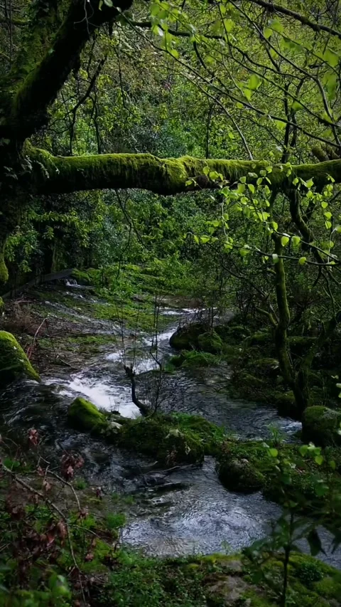 Life Source Flow Vídeo Stock 275310139