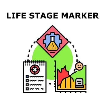 Life stage marker concept identifying development evolution process Stock Illustration