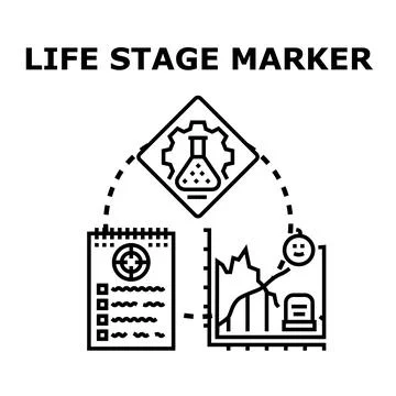 Life stage marker concept identifying development evolution process Stock Illustration