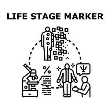 Life stage marker concept representing human development stages イラスト素材