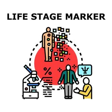 Life stage marker concept representing human development stages イラスト素材