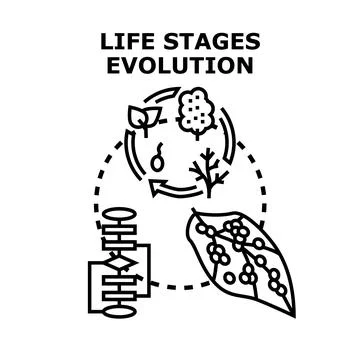 Life stages evolution and development process icon concept Stock Illustration