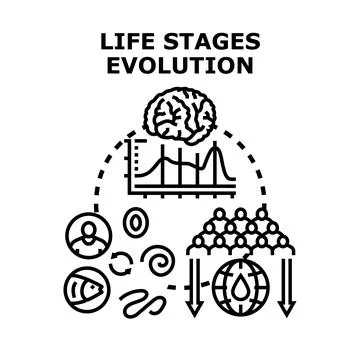 Life stages evolution concept demonstrating biological development Stock Illustration
