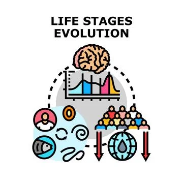 Life stages evolution concept demonstrating biological development Stock Illustration