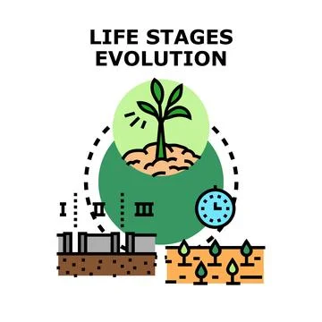 Life stages evolution displaying growth and development Stock Illustration