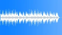 Life Style Stock Music