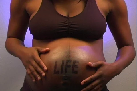 Life (tilt down) 1 Vídeo Stock 587268