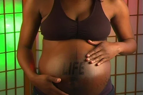 Life (tilt up) Vídeo Stock 587273