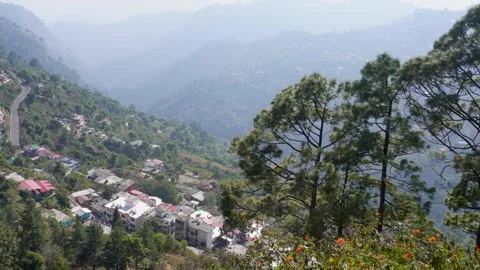 Life at the Top of India Mountains Stock Footage 337627726