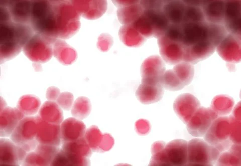 Life under the microscope brightly backlit red cells on white background u... Stock Photos