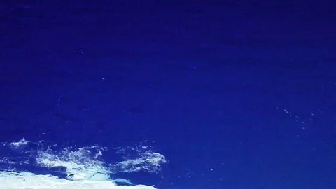 Life under water Stock-Footage 101744353