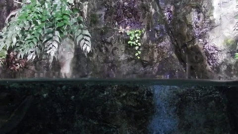 Life under water. Stock Footage 102613801